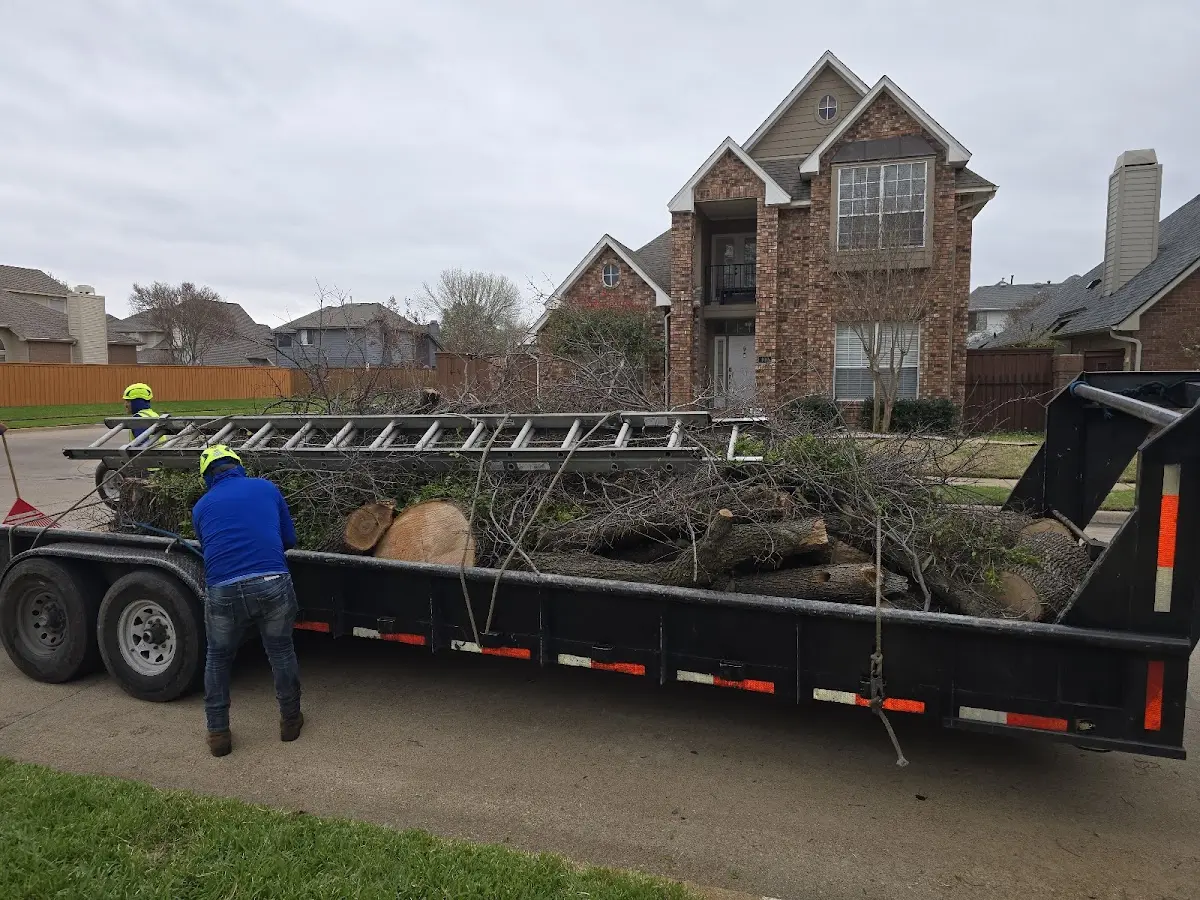 Expert Tree Fertilization with proper safety equipment in March Air Reserve Base